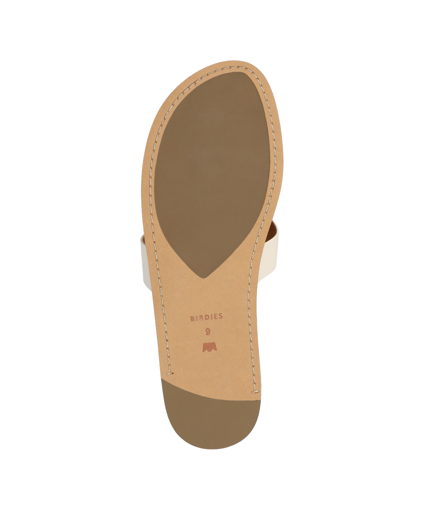 SUN-OWL_WEB5_0b505b90-5779-4667-b3be-198d3ae6cacc.png